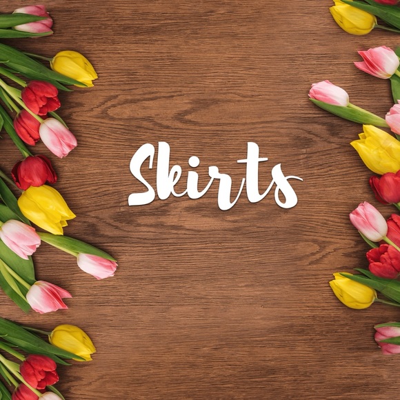 Skirts - Picture 1 of 1